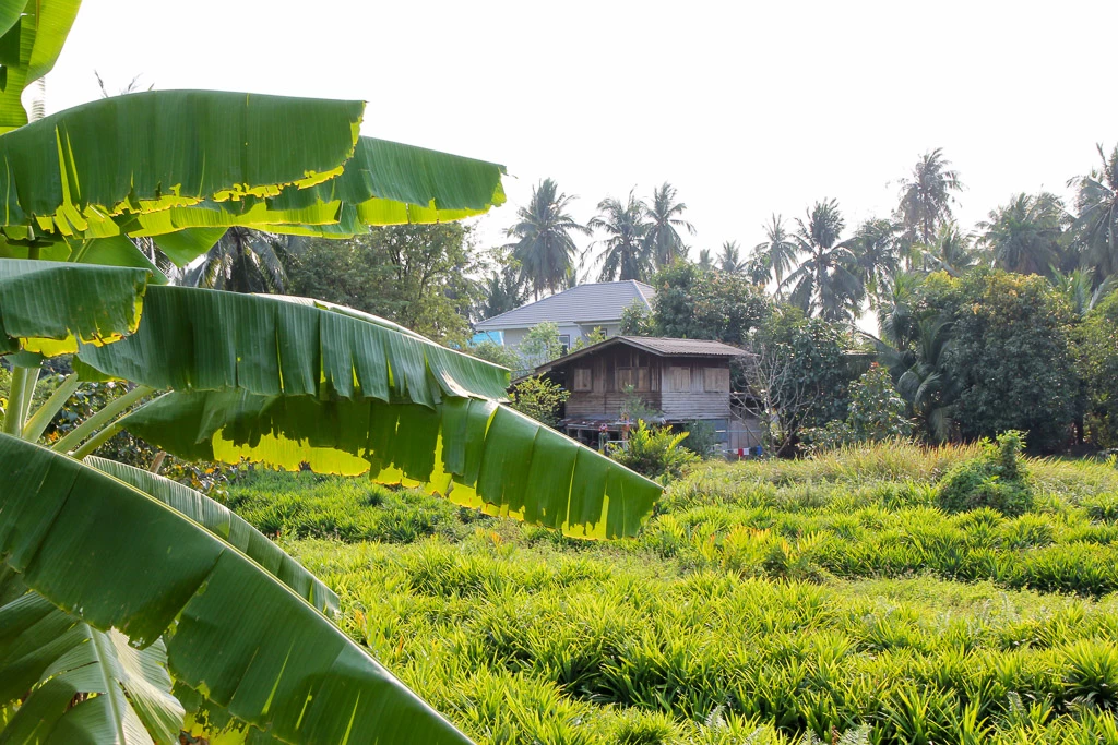 thailand of bali