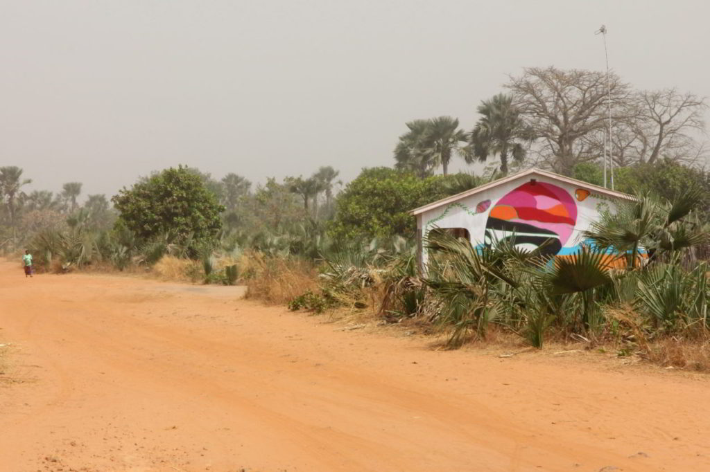 Hoogtepunten Gambia: 10 Leuke Dingen Om Te Zien En Doen! | Travellust.nl